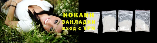 твердый Лагань