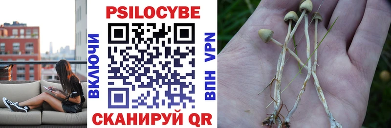 Купить  Городище  Галлюциногенные грибы Magic Shrooms 
